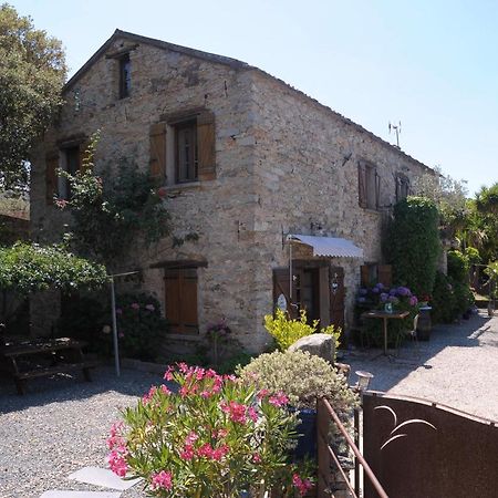 Bed and Breakfast A Casa Di Paulina Casta Exteriér fotografie