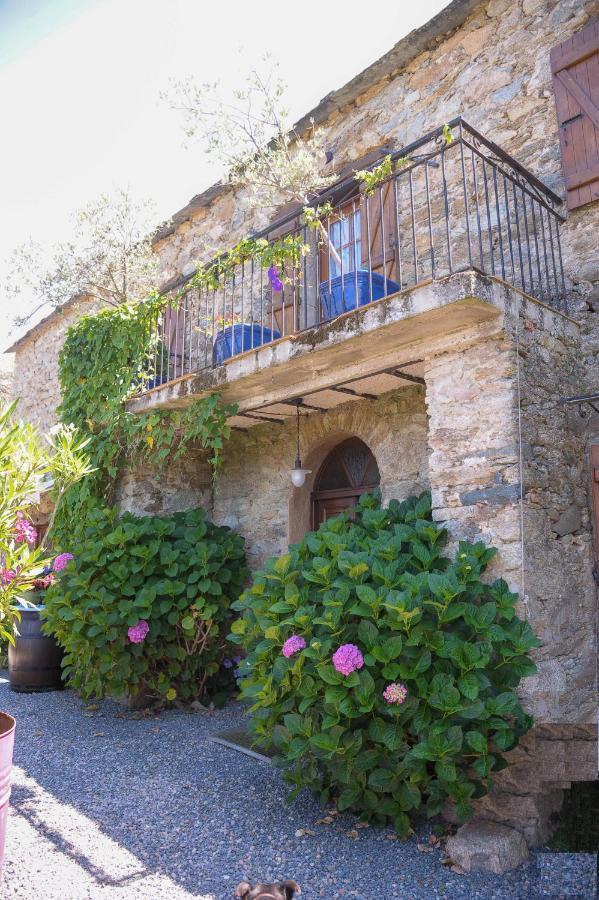 Bed and Breakfast A Casa Di Paulina Casta Exteriér fotografie